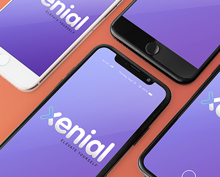 Xenial Concept